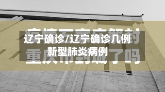 辽宁确诊/辽宁确诊几例新型肺炎病例-第3张图片