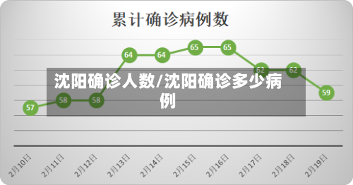 沈阳确诊人数/沈阳确诊多少病例
