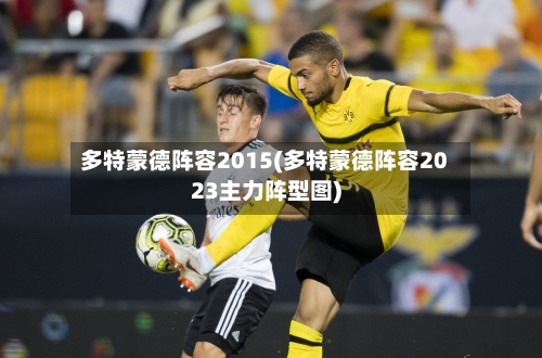 多特蒙德阵容2015(多特蒙德阵容2023主力阵型图)-第3张图片