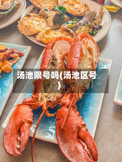 汤池限号吗(汤池区号)-第2张图片
