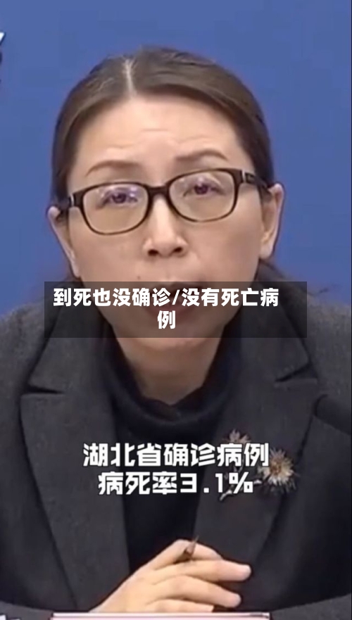 到死也没确诊/没有死亡病例