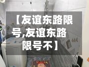 【友谊东路限号,友谊东路限号不】