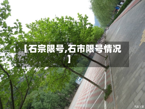 【石宗限号,石市限号情况】-第2张图片