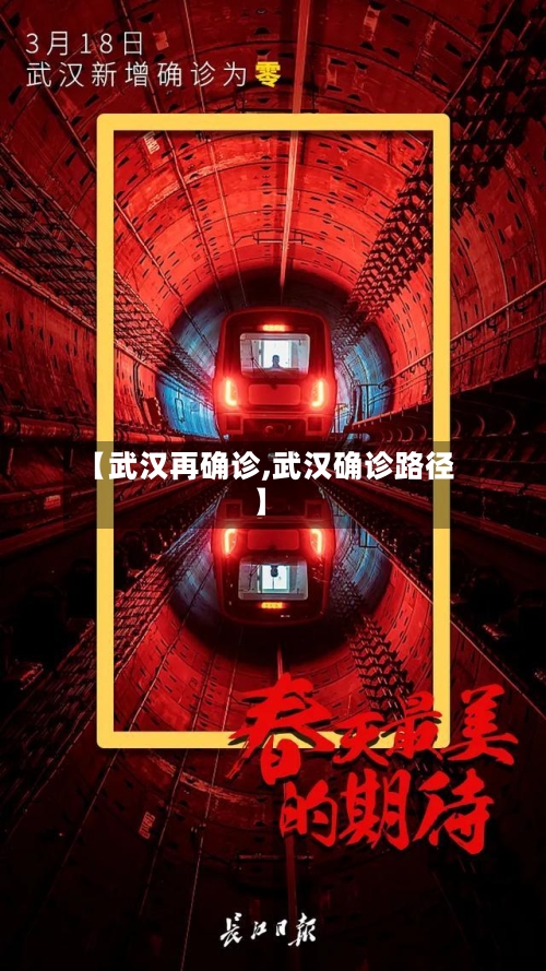 【武汉再确诊,武汉确诊路径】-第2张图片
