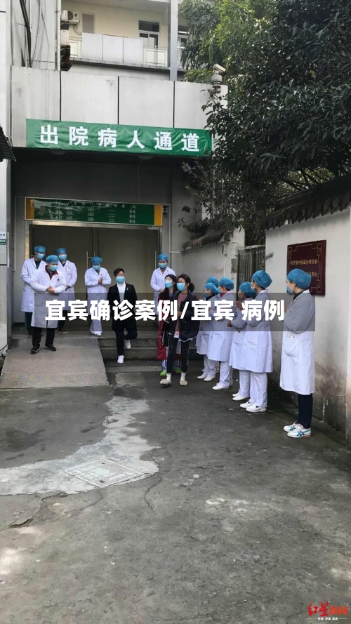 宜宾确诊案例/宜宾 病例-第2张图片