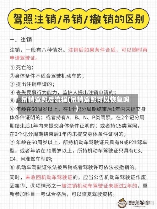 吊销驾照后流程(吊销驾照可以恢复吗)-第3张图片