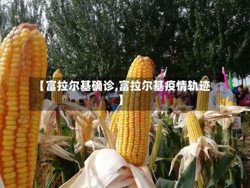 【富拉尔基确诊,富拉尔基疫情轨迹】