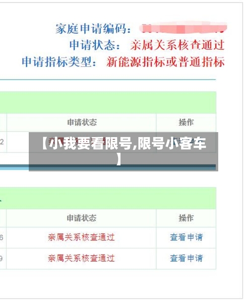 【小我要看限号,限号小客车】-第3张图片