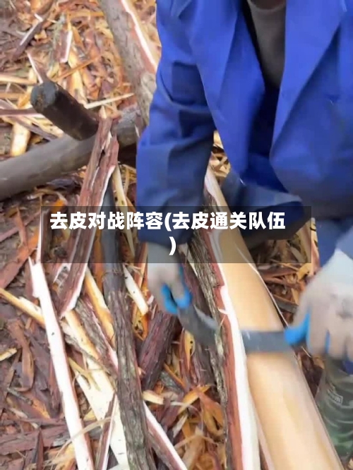 去皮对战阵容(去皮通关队伍)