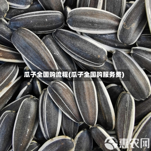 瓜子全国购流程(瓜子全国购服务费)