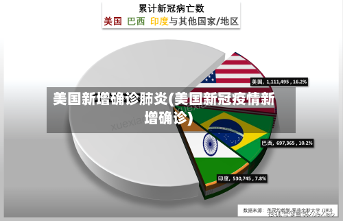 美国新增确诊肺炎(美国新冠疫情新增确诊)-第2张图片