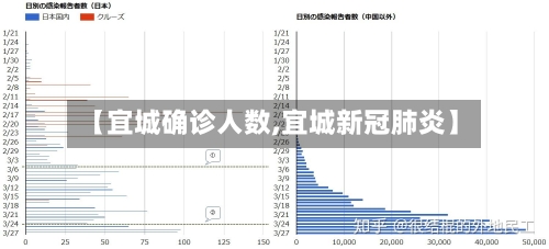 【宜城确诊人数,宜城新冠肺炎】-第3张图片