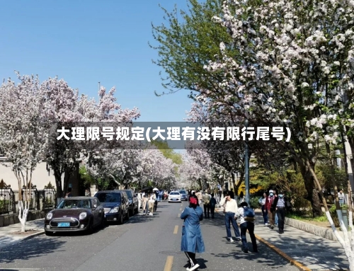 大理限号规定(大理有没有限行尾号)-第2张图片