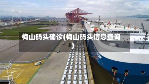 梅山码头确诊(梅山码头信息查询)-第2张图片