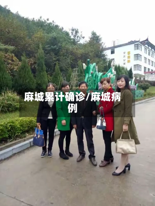 麻城累计确诊/麻城病例