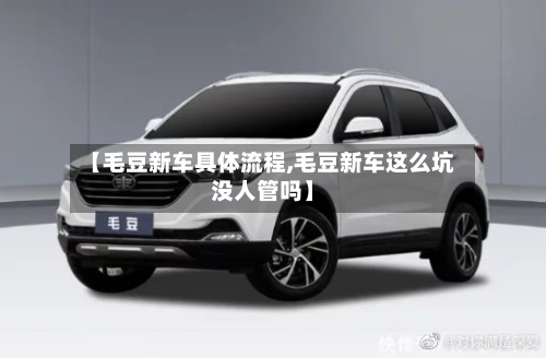 【毛豆新车具体流程,毛豆新车这么坑没人管吗】-第2张图片