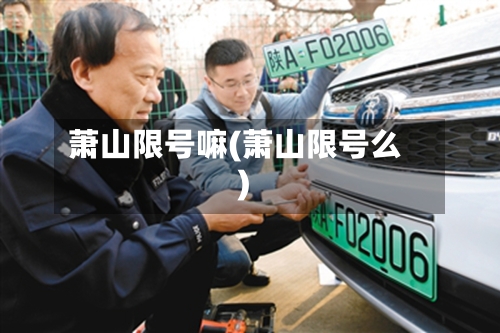 萧山限号嘛(萧山限号么)-第2张图片