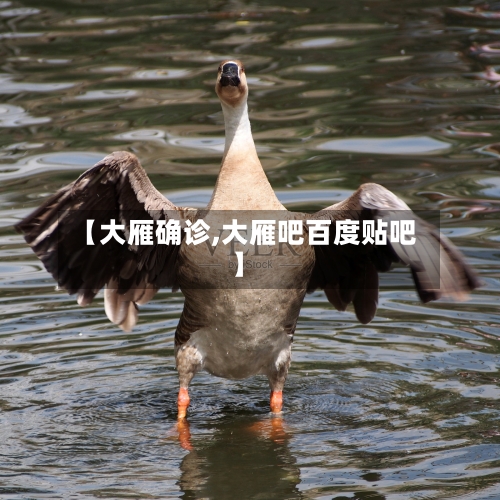 【大雁确诊,大雁吧百度贴吧】