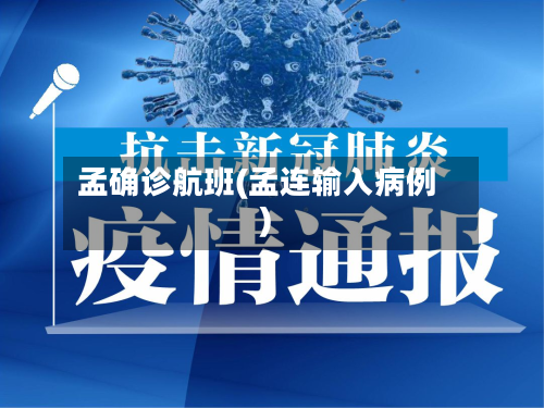 孟确诊航班(孟连输入病例)-第2张图片
