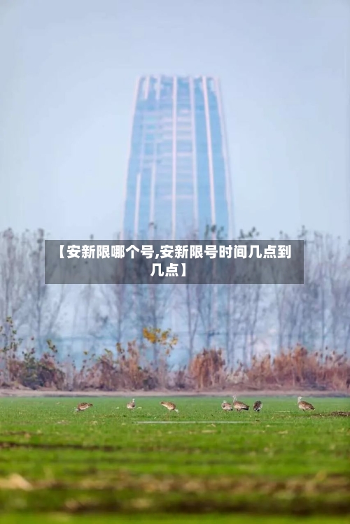【安新限哪个号,安新限号时间几点到几点】-第2张图片