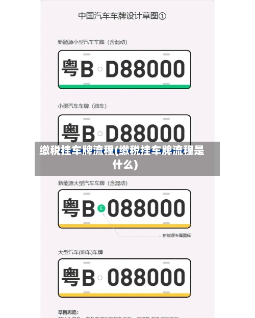 缴税挂车牌流程(缴税挂车牌流程是什么)