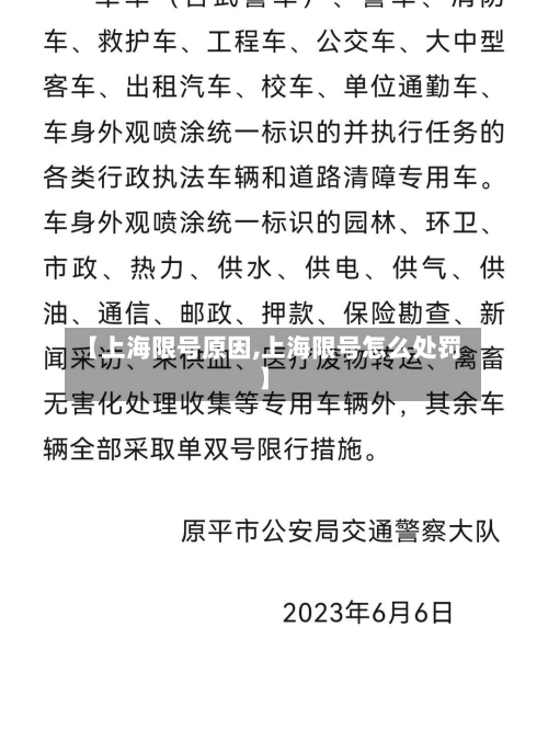 【上海限号原因,上海限号怎么处罚】-第3张图片
