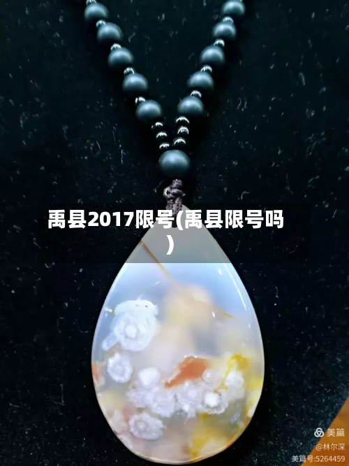 禹县2017限号(禹县限号吗)