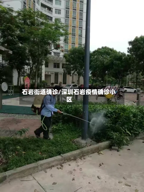 石岩街道确诊/深圳石岩疫情确诊小区-第3张图片