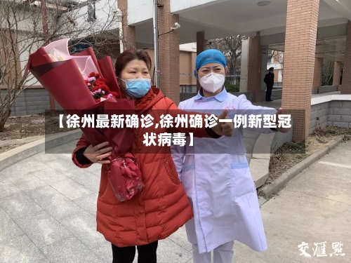 【徐州最新确诊,徐州确诊一例新型冠状病毒】-第2张图片