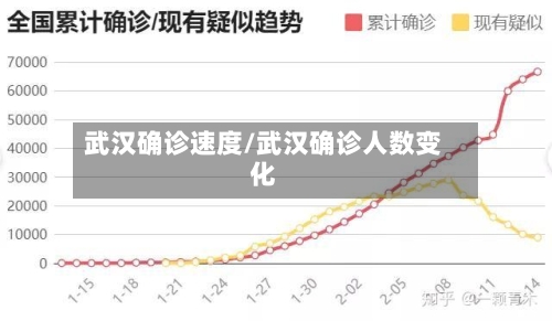 武汉确诊速度/武汉确诊人数变化