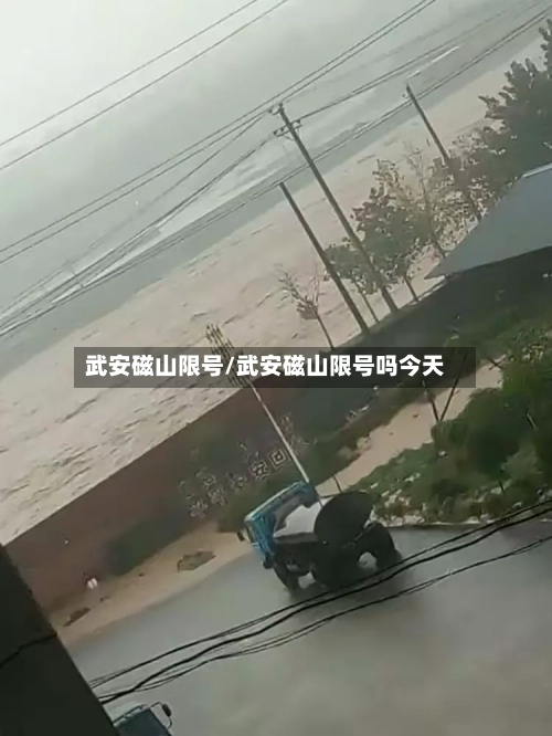 武安磁山限号/武安磁山限号吗今天-第2张图片