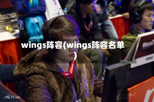 wings阵容(wings阵容名单)