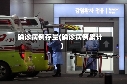 确诊病例存量(确诊病例累计)-第2张图片