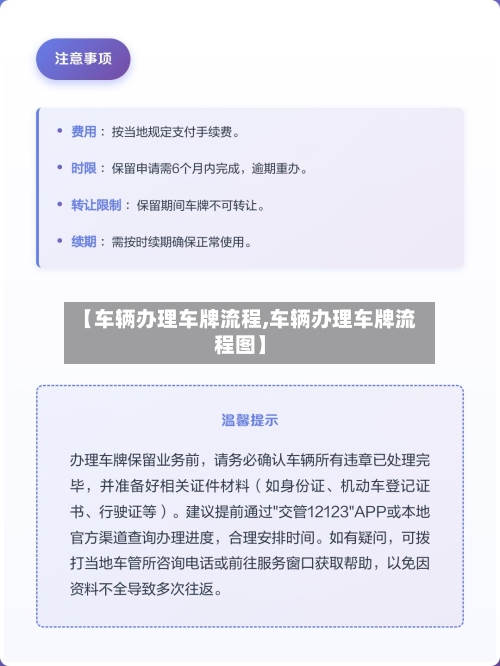 【车辆办理车牌流程,车辆办理车牌流程图】-第3张图片