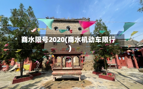 商水限号2020(商水机动车限行)-第3张图片