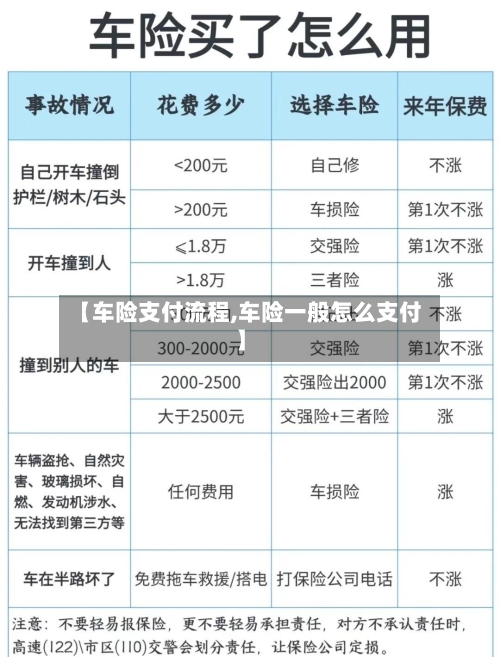 【车险支付流程,车险一般怎么支付】-第2张图片