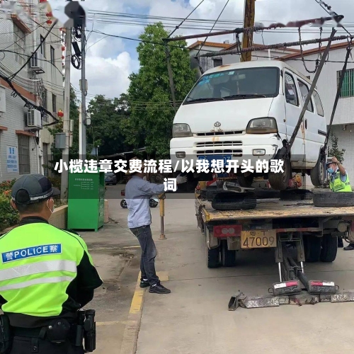 小榄违章交费流程/以我想开头的歌词-第3张图片