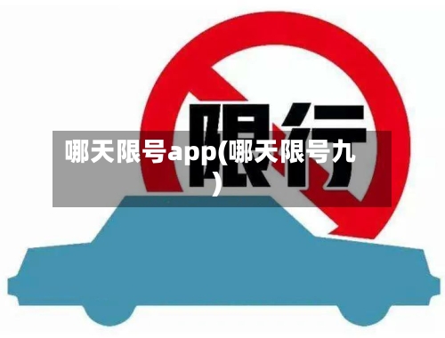 哪天限号app(哪天限号九)-第2张图片