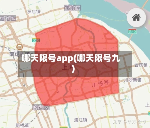 哪天限号app(哪天限号九)