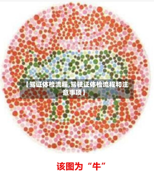 【驾证体检流程,驾驶证体检流程和注意事项】-第3张图片