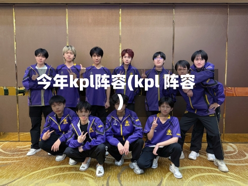 今年kpl阵容(kpl 阵容)-第3张图片