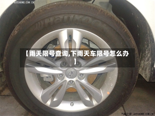 【雨天限号查询,下雨天车限号怎么办】-第2张图片