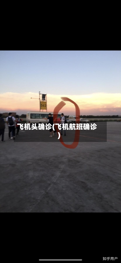 飞机头确诊(飞机航班确诊)-第2张图片