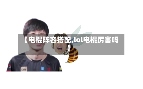 【电棍阵容搭配,lol电棍厉害吗】-第2张图片