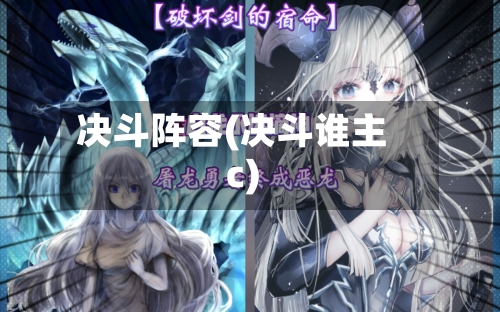 决斗阵容(决斗谁主c)