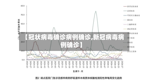 【冠状病毒确诊病例确诊,新冠病毒病例确诊】-第2张图片
