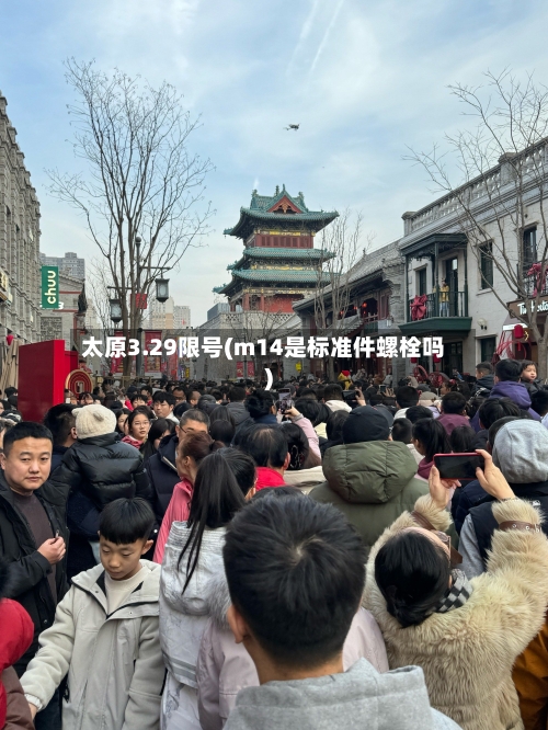 太原3.29限号(m14是标准件螺栓吗)