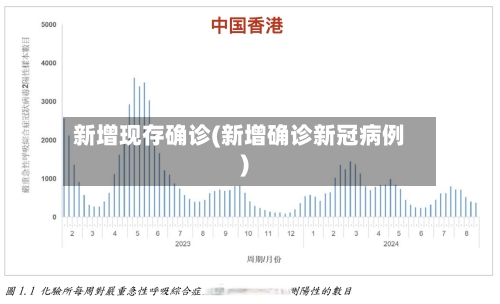 新增现存确诊(新增确诊新冠病例)