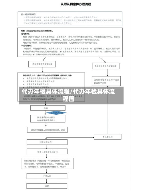 代办年检具体流程/代办年检具体流程图