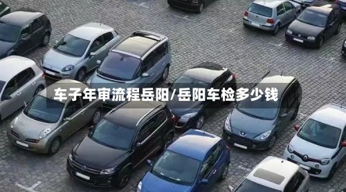 车子年审流程岳阳/岳阳车检多少钱